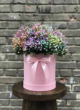 Цветочная композиция из Гипсофила и Розы в шляпной коробке #REPLACE_PRED# Развилке