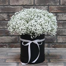 Цветочная композиция из Гипсофила в шляпной коробке #REPLACE_PRED# Развилке